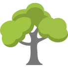 Fishers Tree Removal