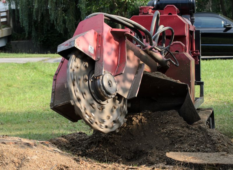 Stump Grinding Process